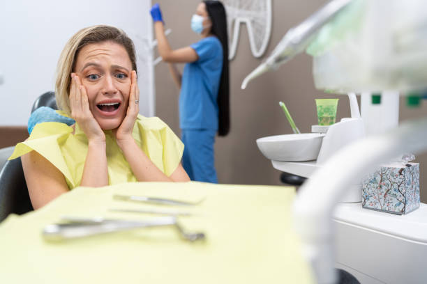 Best Walk-In Emergency Dental Services in Brickerville, PA